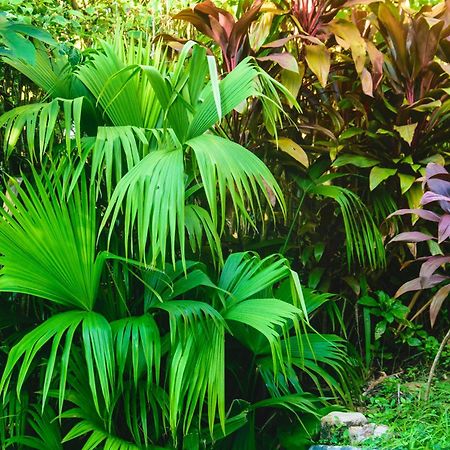 Pousada Jardim Das Bromelias Πόρτο Σεγκούρο Εξωτερικό φωτογραφία