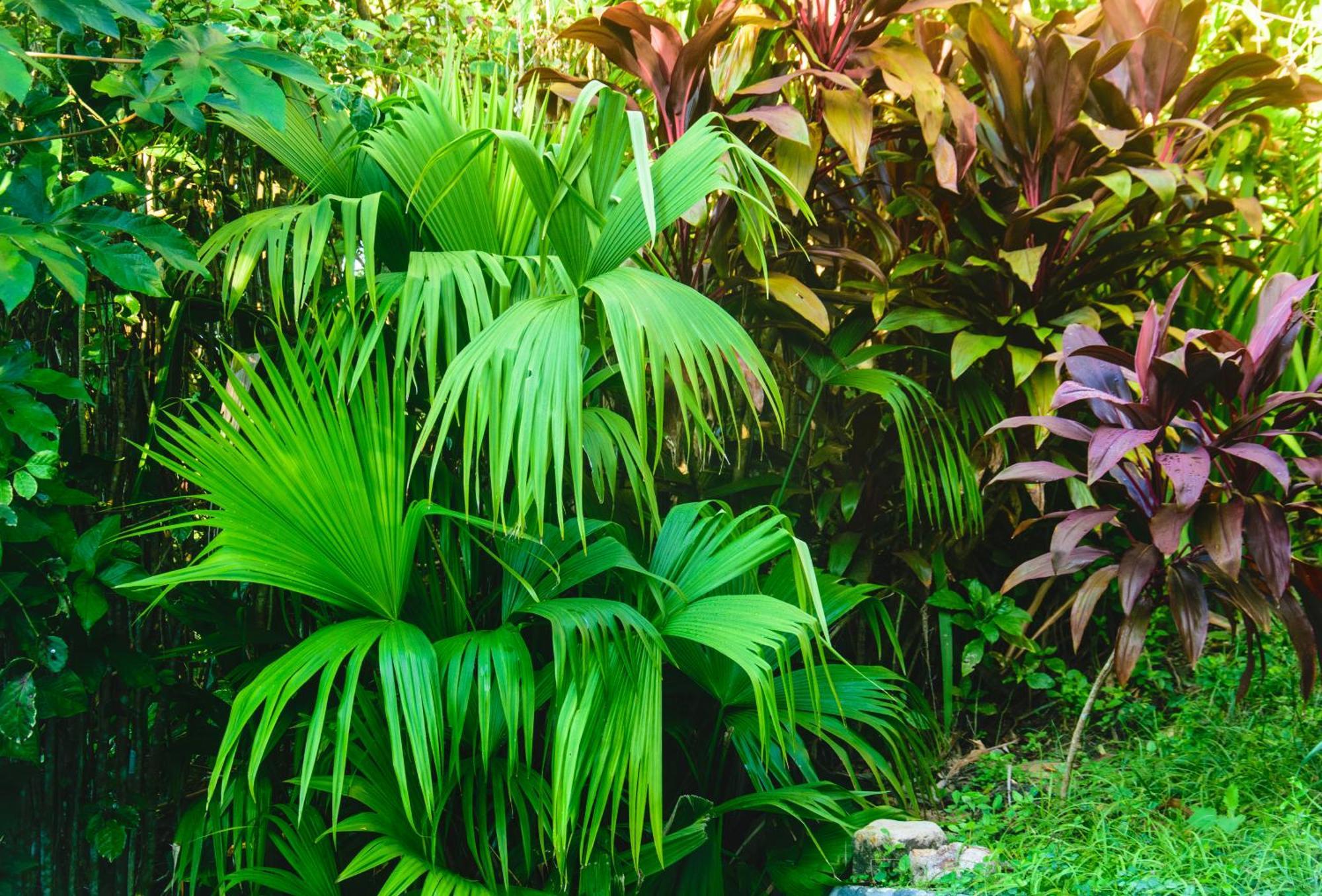 Pousada Jardim Das Bromelias Πόρτο Σεγκούρο Εξωτερικό φωτογραφία